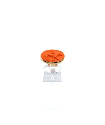 Large Bague en Plexiglas et Résine Orange Motif Lion JUSQU'A -70%! 