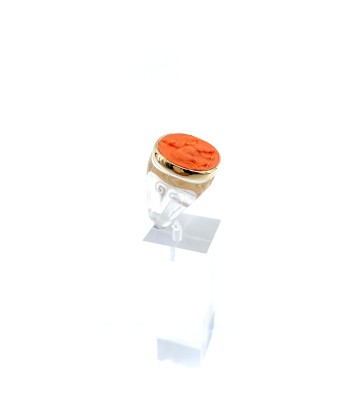 Large Bague en Plexiglas et Résine Orange Motif Lion JUSQU'A -70%! 