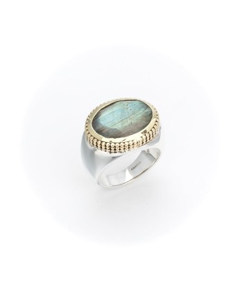 Large Bague en Argent et Labradorite Comparez plus de prix