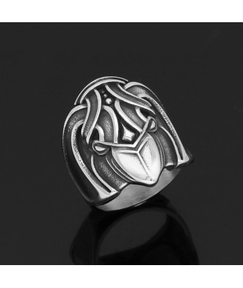 Hugin Wikinger Ring online