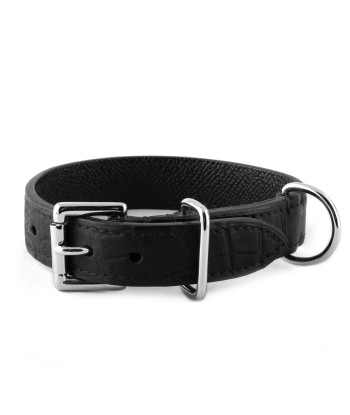 Pet leather collar (dog, cat...) - Alligator offre 