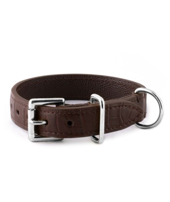 Pet leather collar (dog, cat...) - Alligator offre 