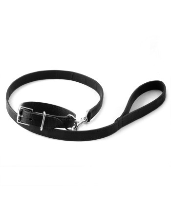 ​Pet leather collar and leash (dog, cat...) - Alligator En savoir plus