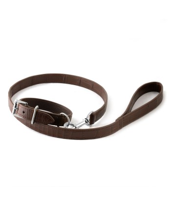 ​Pet leather collar and leash (dog, cat...) - Alligator En savoir plus