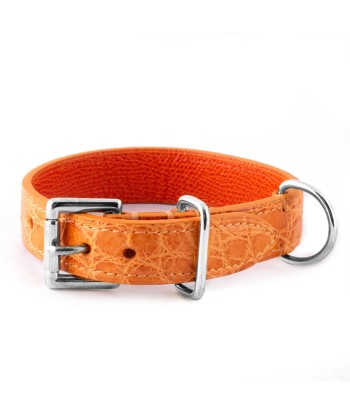 Pet leather collar (dog, cat...) - Alligator offre 