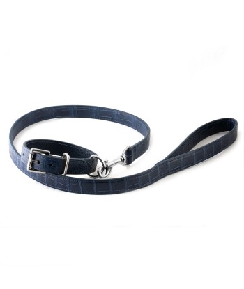 ​Pet leather collar and leash (dog, cat...) - Alligator En savoir plus