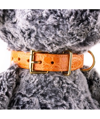 Pet leather collar (dog, cat...) - Alligator offre 