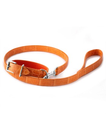 ​Pet leather collar and leash (dog, cat...) - Alligator En savoir plus