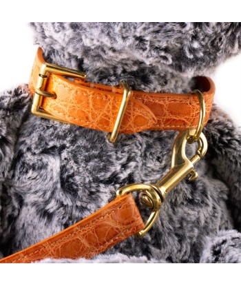 ​Pet leather collar and leash (dog, cat...) - Alligator En savoir plus