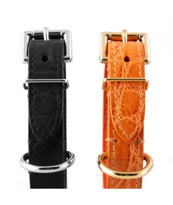 ​Pet leather collar and leash (dog, cat...) - Alligator En savoir plus