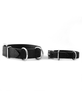 ​Pet leather collar and leash (dog, cat...) - Alligator En savoir plus