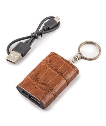 Mini Powerbank / External battery keychain - Alligator - Universal charger iPhone, Samsung, smartphone, tablet ... (black, brown, blue, gray) prix