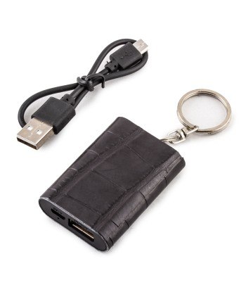 Mini Powerbank / External battery keychain - Alligator - Universal charger iPhone, Samsung, smartphone, tablet ... (black, brown, blue, gray) prix